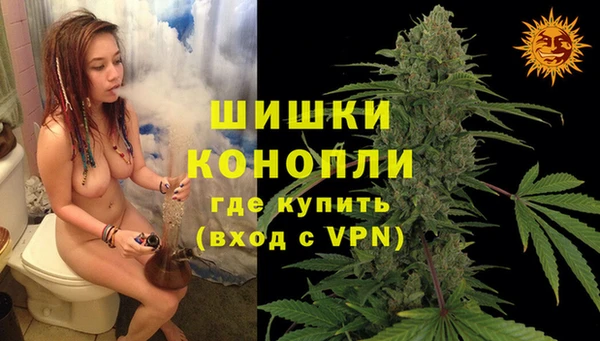 спиды Аркадак