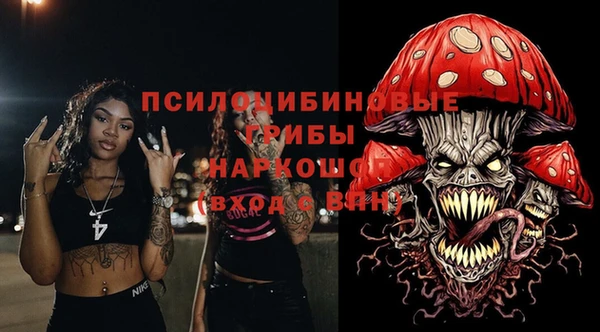 гидра Арсеньев