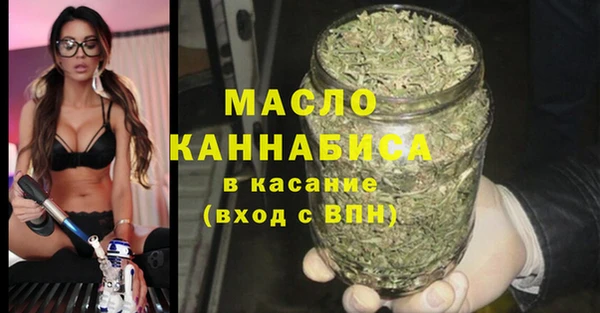 гидра Арсеньев