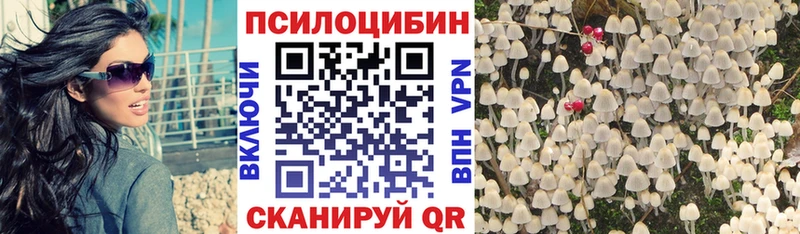 ОМГ ОМГ ТОР  Гудермес  Псилоцибиновые грибы ЛСД  наркота 